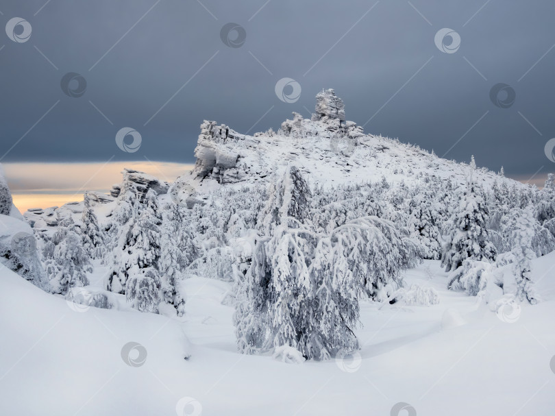 Скачать Большая гранитная скала замерзла и покрыта снегом. Зимний лес фотосток Ozero