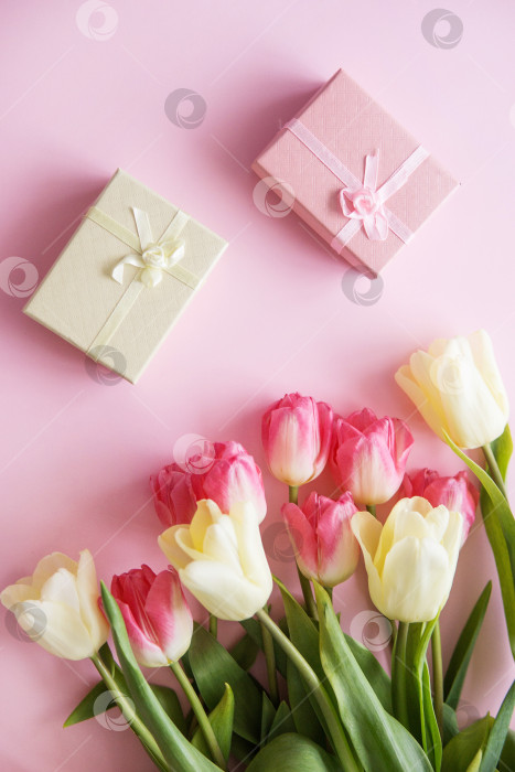 Скачать Розовые и желтые цветы тюльпанов, подарочные коробки расположены на розовом фоне. Вид сверху. Концепция весны. Женский день. фотосток Ozero