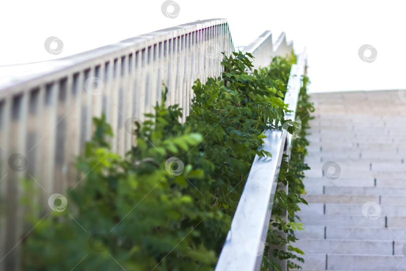 Скачать Красивый дизайн лестницы в парке. фотосток Ozero