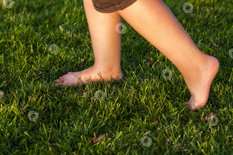 Скачать Ребенок гуляет по траве в парке. Ноги ребенка крупным планом. Веселитесь и наслаждайтесь летним днем. фотосток Ozero
