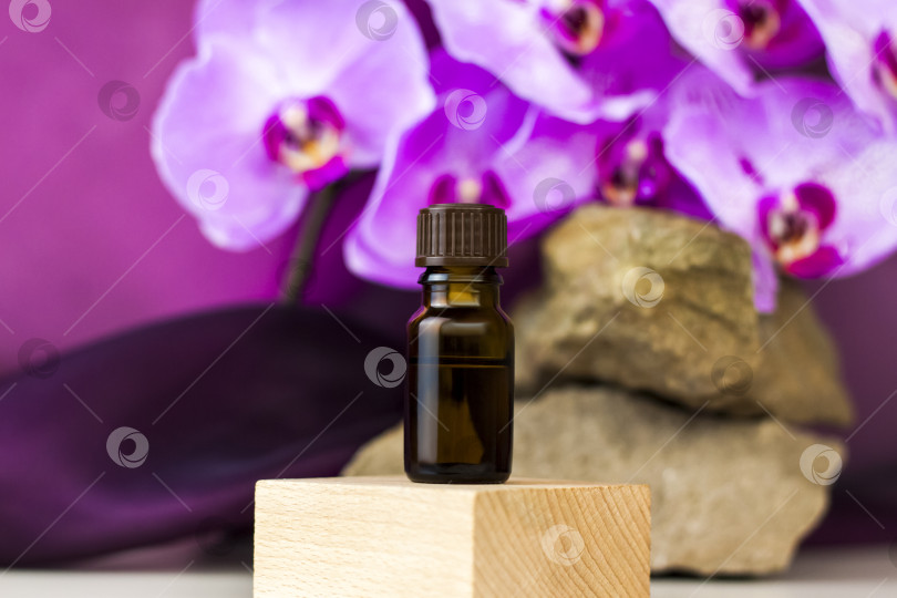 Скачать Флакон косметического масла стоит на деревянной подставке на фоне камня и красивых орхидей. Стильный внешний вид продукта, оформление, индивидуальность. Баннер, место для текста. фотосток Ozero