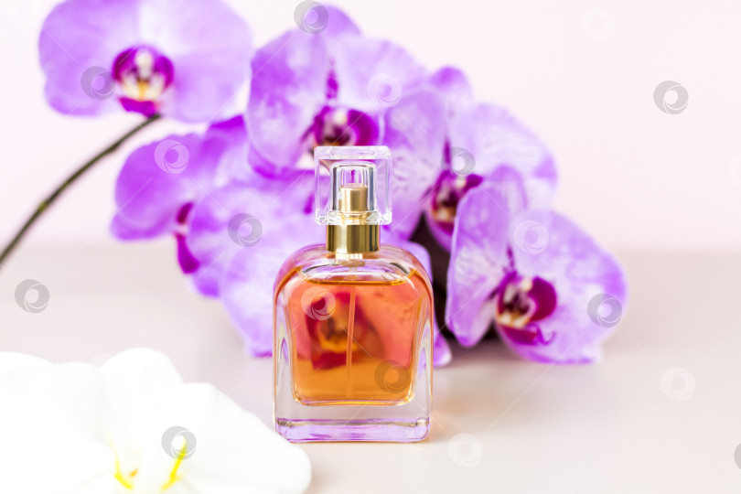 Скачать Флакон духов на розовом фоне вокруг красивых цветов орхидеи. Стильный внешний вид, оформление, индивидуальность. Баннер, место для текста. фотосток Ozero