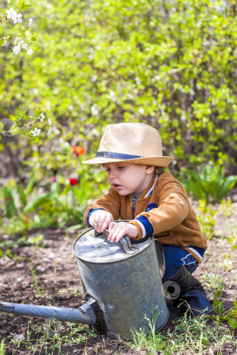 Скачать Симпатичный маленький мальчик в шапочке и резиновых сапогах поливает растения из лейки в саду. Очаровательный малыш помогает своим родителям выращивать овощи. фотосток Ozero
