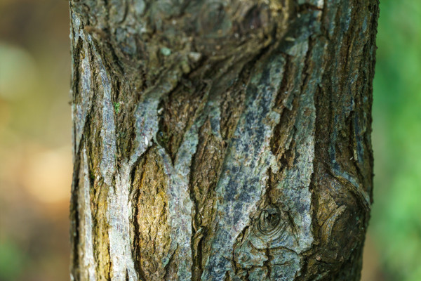 [object Object] undefined