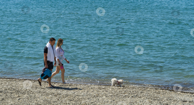 Скачать Мужчина с красивой женщиной и белой собакой прогуливаются по побережью Черного моря. Геленджик, Архипо-Осиповка, Россия, 14 мая 2021 года фотосток Ozero