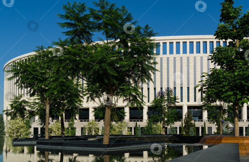 Скачать Цветущие деревья джакаранды (Jacaranda mimosifolia) у фонтана "Инфинити" с гранитными ступенями на фоне стадиона "Краснодар". Общественный ландшафтный парк "Краснодар" или "Галицкий" в июне 2021 года фотосток Ozero