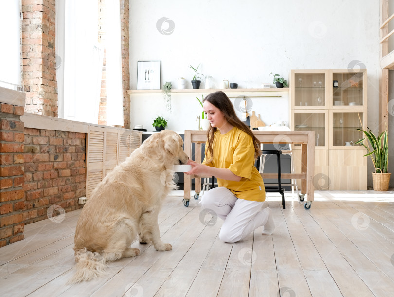 Скачать Портрет счастливой молодой женщины с домашней собакой, сидящей на полу дома. Кавказская женщина обнимает золотистого ретривера в гостиной фотосток Ozero