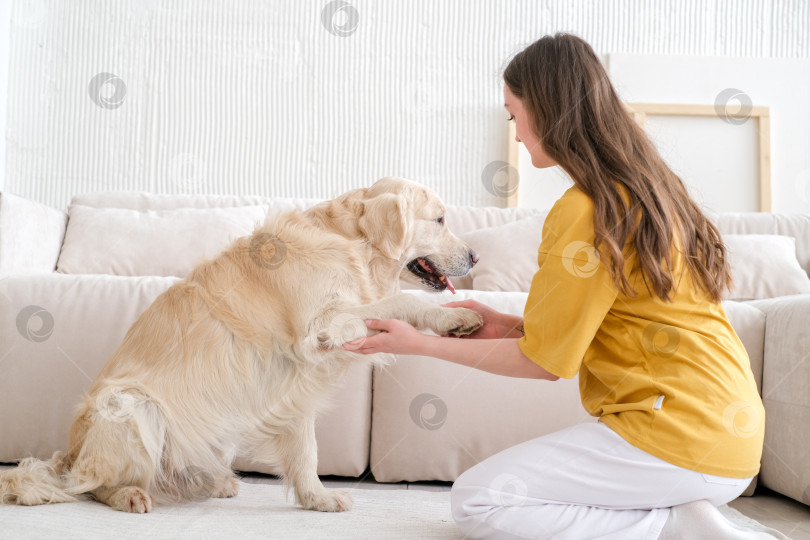 Скачать Портрет счастливой молодой женщины с домашней собакой, сидящей на полу дома. Белая женщина обнимает золотистого ретривера в гостиной фотосток Ozero