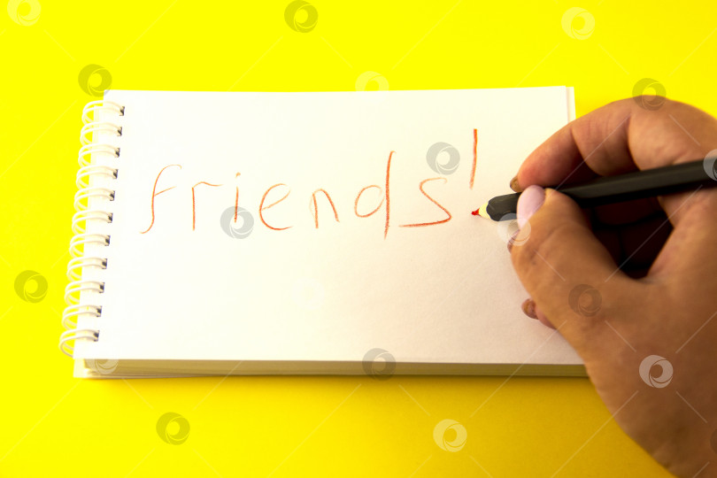 Скачать дружба, блокнот с надписью friends, плоский лист фотосток Ozero