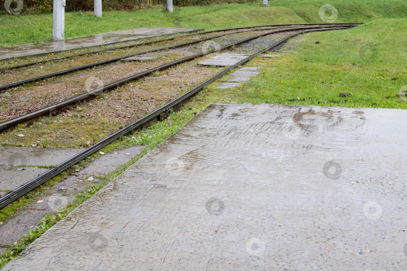 Скачать Трава на трамвайных рельсах под дождем фотосток Ozero