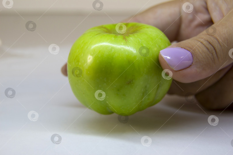 Скачать Женская рука, держащая зеленое яблоко, выделенное на белом фоне, обрезающий контур, размытый контур. фотосток Ozero
