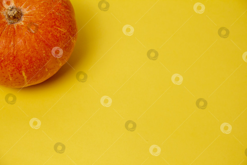 Скачать Красивые круглые тыквы на ярко-оранжевом фоне фотосток Ozero