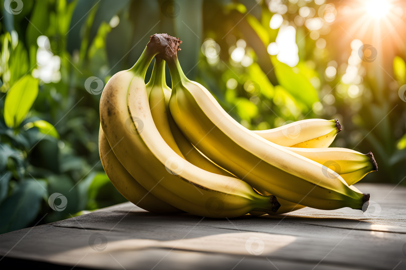 Скачать гроздь бананов на столе в саду фотосток Ozero