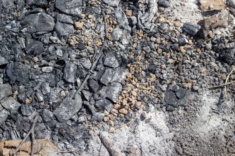 Скачать Серый пепел на земле от костра на природе, уголь, серая зола от дров из камина. фотосток Ozero