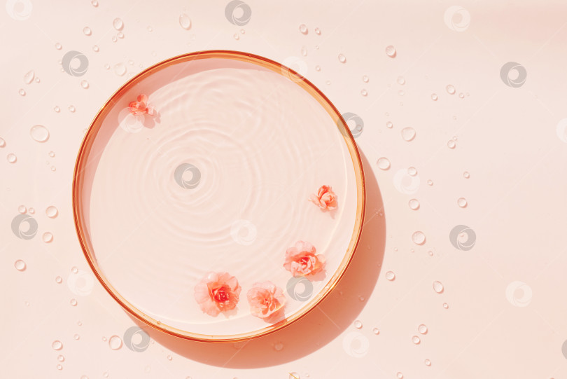 Скачать Розовая прозрачная вода с брызгами и розами в декоративном блюде фотосток Ozero