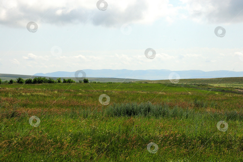 Скачать Бесконечная холмистая степь с высокой зеленой травой и грядой холмов под облачным летним небом. фотосток Ozero
