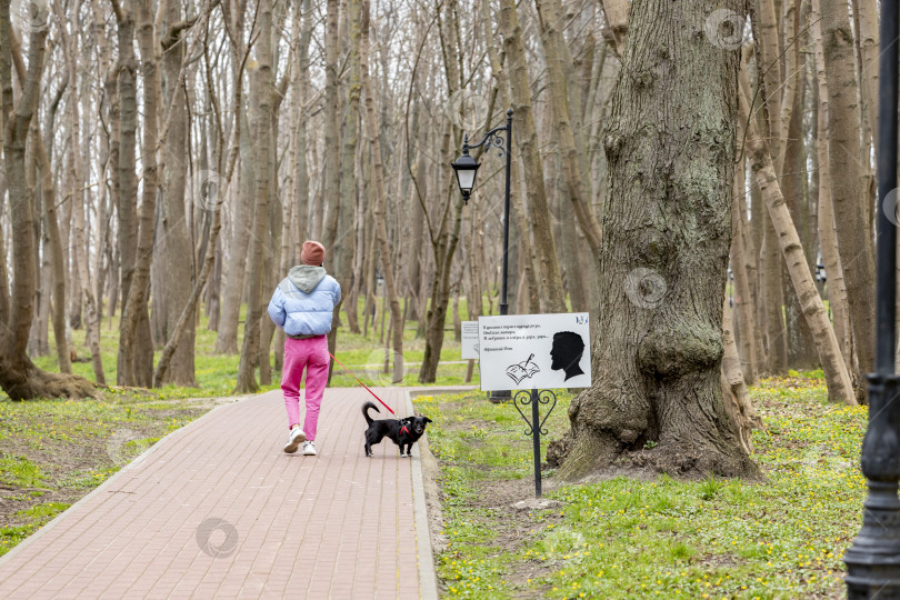Скачать Девушка с собакой гуляют в парке Беккера фотосток Ozero