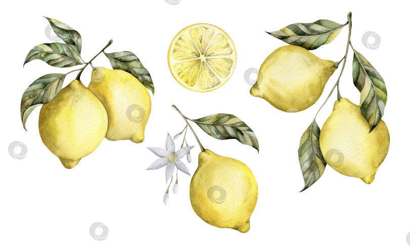 Скачать Лимонный набор фотосток Ozero