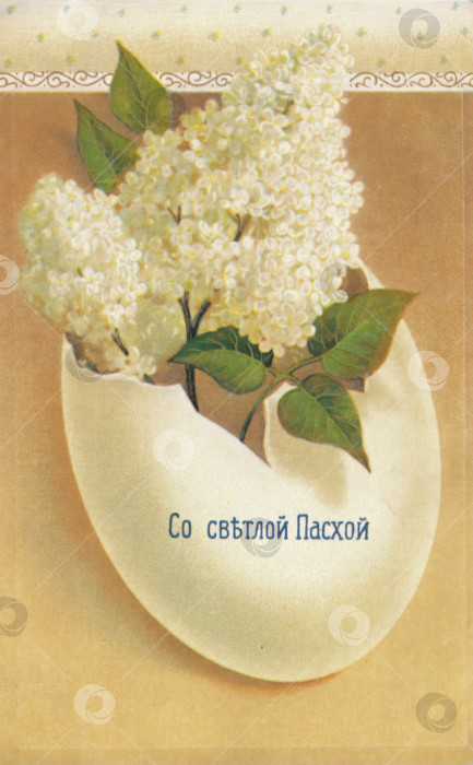 Скачать Белая ветка сирени  и яичная скорлупа. Европейская пасхальная старинная открытка. фотосток Ozero
