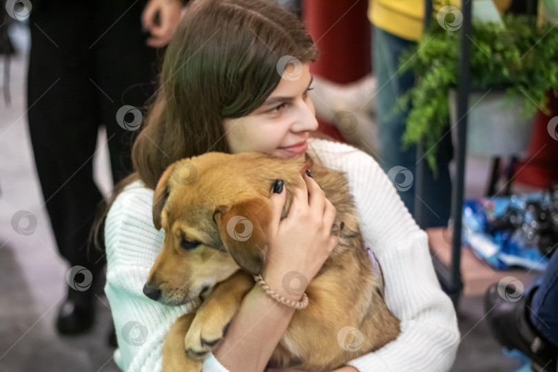 Скачать Беларусь, Минск - 17 декабря 2023 года: Девочка со щенком на руках фотосток Ozero