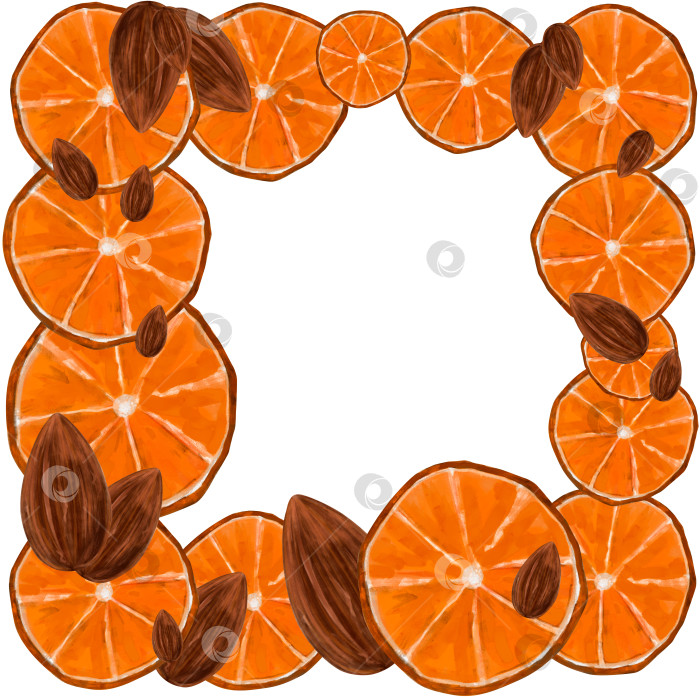 Скачать Квадратная рамка из оранжевых фруктов с миндалем. Нарисованные от руки дольки апельсина и орехи, выделенные на белом фоне. Ботаническая рамка, цитрусовые фотосток Ozero