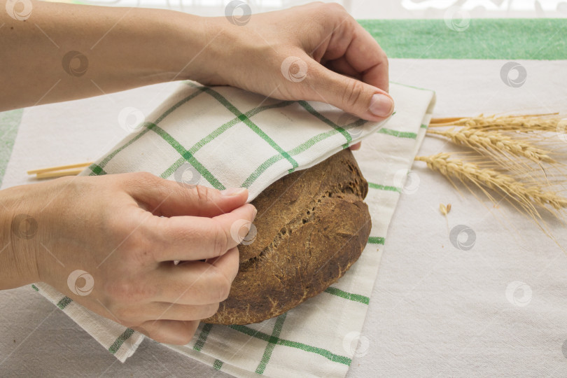 Скачать Женские руки накрывают льняной салфеткой свежеиспеченный круглый хлеб рядом с колосьями зерна. Домашний органический хлеб. Фотографии с пошаговым рецептом фотосток Ozero