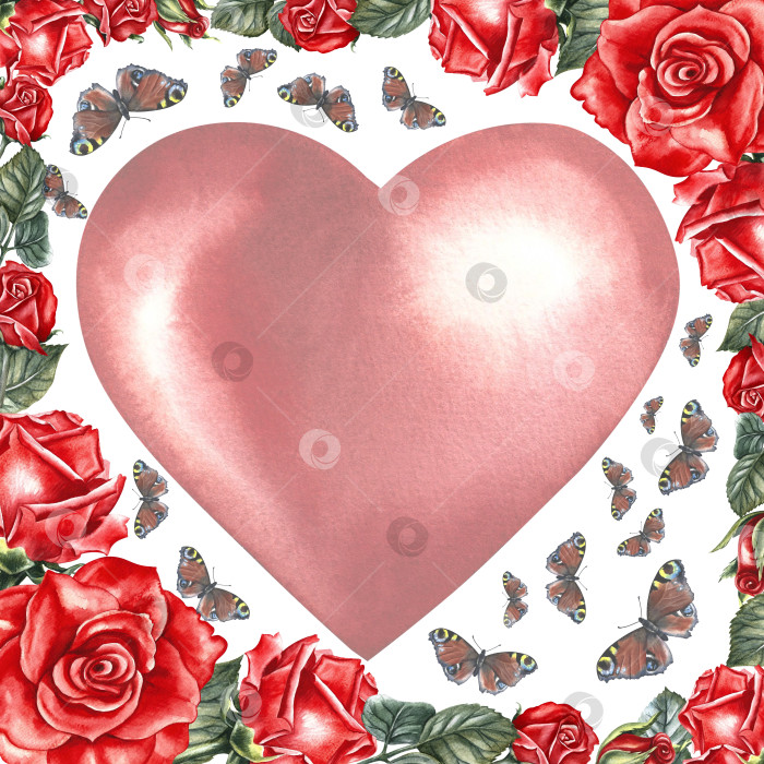 Скачать Открытка на день святого Валентина или свадьбу с красными розами, бабочками и сердцем. Рисованная акварельная иллюстрация. Элемент дизайна упаковки и этикеток, плакатов и флаеров, принтов. фотосток Ozero