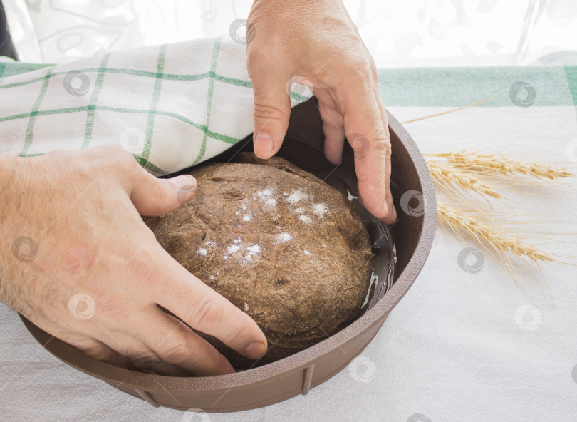 Скачать Мужские руки накрывают тесто для хлеба кухонным полотенцем. Пошаговый рецепт хлеба. Процесс выпечки. Домашний органический хлеб. фотосток Ozero