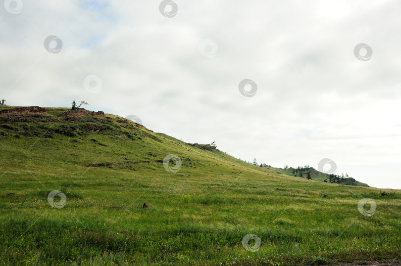 Скачать Широкая поляна с высокой травой у подножия холма со скальными образованиями на вершине. фотосток Ozero