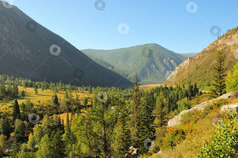 Скачать Живописная долина, покрытая сосновым лесом, окруженная высокими горами ранней осенью. фотосток Ozero