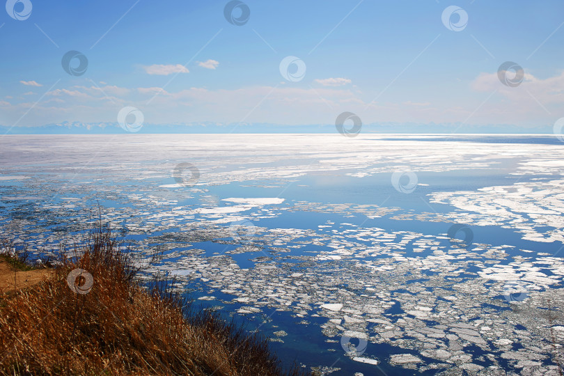 Скачать Озеро Байкал весной. Маленькие льдины в озерной воде. Солнечный апрельский день. фотосток Ozero