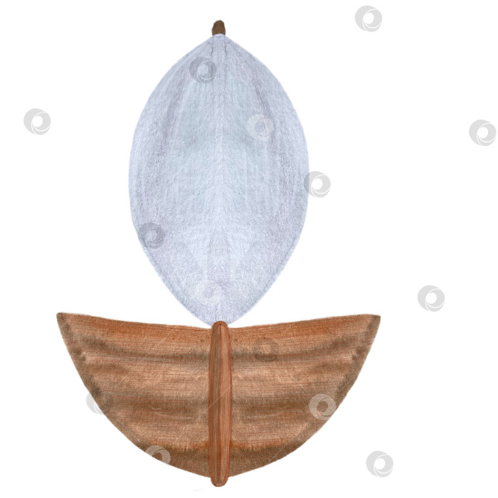 Скачать Акварельная иллюстрация коричневой деревянной парусной лодки фотосток Ozero