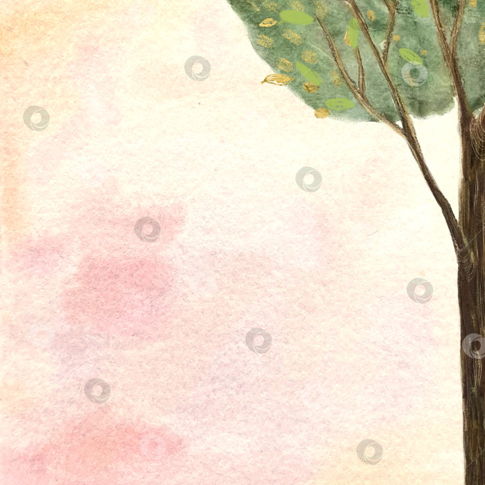 Скачать Раскрашенная вручную акварелью открытка с деревом на персиковом фоне фотосток Ozero