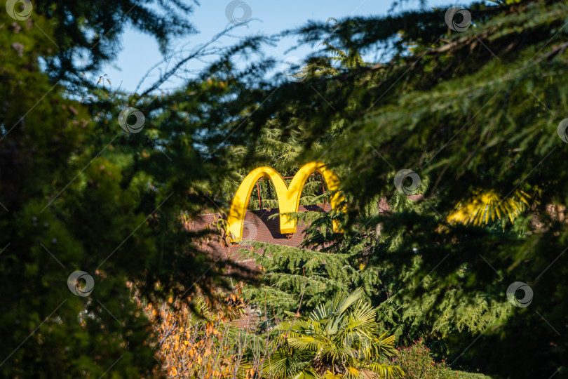Скачать Символом McDonald's является большая желтая буква "М" на крыше. Центр Сочи. Крупный план. Символическая вывеска Macdonald's среди вечнозеленых растений. Солнечный зимний день на юге России. фотосток Ozero