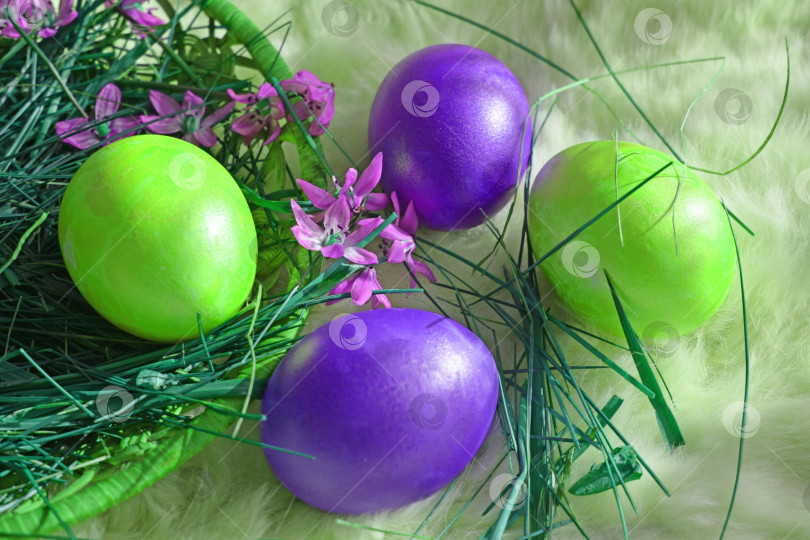 Скачать Пасхальные разноцветные яйца. фотосток Ozero