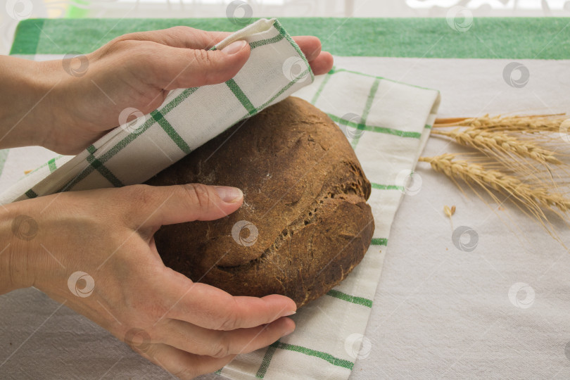 Скачать Женские руки накрывают льняной салфеткой свежеиспеченный круглый хлеб рядом с колосьями зерна. Домашний органический хлеб. фотосток Ozero