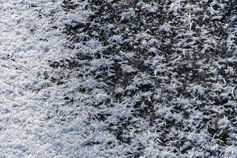 Скачать Естественная структура льда на поверхности замерзшего и заснеженного пруда. Красивые ледяные узоры покрыты снегом. Крупный план. Снежинки на ледяной поверхности пруда. Концепция природы для зимнего дизайна. фотосток Ozero