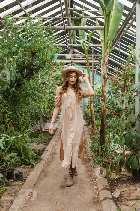 Скачать Красивая молодая женщина ухаживает за растениями в теплице. Концепция садоводства и экологически чистого образа жизни. фотосток Ozero