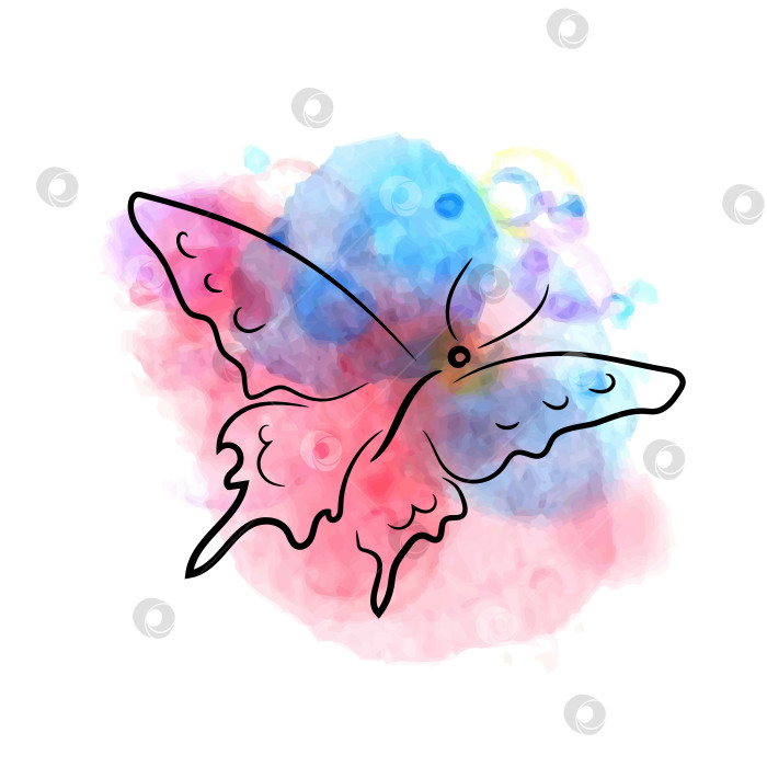 Скачать Розовая и голубая бабочка, нарисованная от руки, тушь, акварель фотосток Ozero