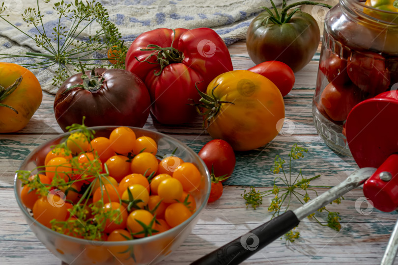 Скачать Свежие помидоры на деревянном кухонном столе в деревенском доме. фотосток Ozero