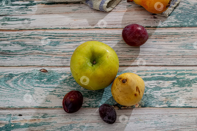 Скачать Спелые, свежие яблоки и груши, собранные осенью фотосток Ozero
