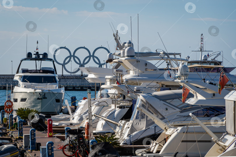 Скачать У причалов Сочинского морского торгового порта пришвартованы очень дорогие скоростные парусные яхты. Солнечный зимний день. На заднем плане изображены олимпийские символы - пять колец. фотосток Ozero