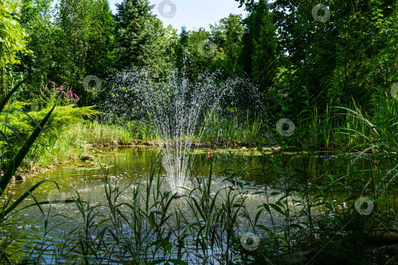 Скачать Красивый садовый пруд с каменными берегами и каскадным фонтаном. Вечнозеленый ландшафтный сад. Вечнозеленые растения и водные растения отражаются в водной глади. Атмосфера спокойной и размеренной жизни. фотосток Ozero