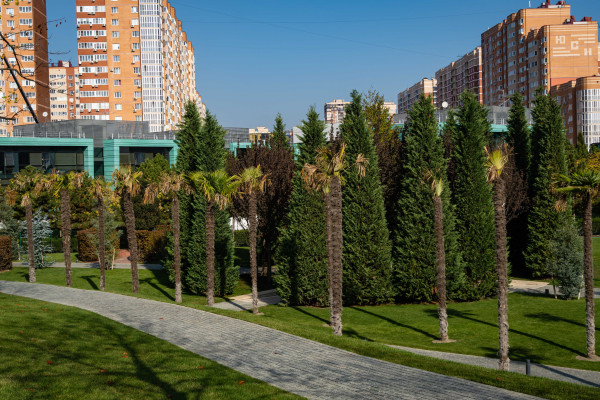 [object Object] undefined