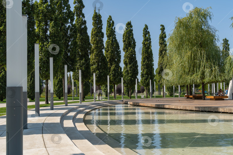 Скачать Городской парк Краснодара, или парк Галицкого. Группа Cupressus sempervirens или средиземноморских кипарисов на набережной парка. Парк для отдыха и прогулок. фотосток Ozero