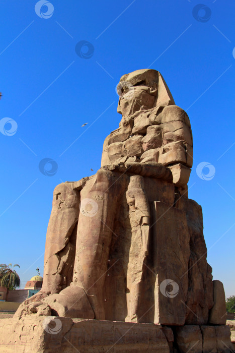 Скачать Один из Колоссов Мемнона. Рамессеум, Египет. фотосток Ozero