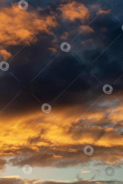 Скачать Ярко-желтые облака на закате в небе фотосток Ozero