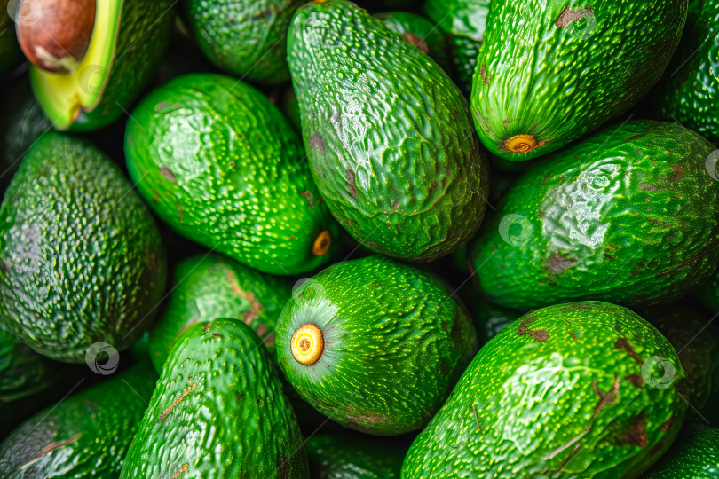 Скачать Горка свежих плодов авокадо, фон для еды. Искусственный интеллект сгенерирован. фотосток Ozero