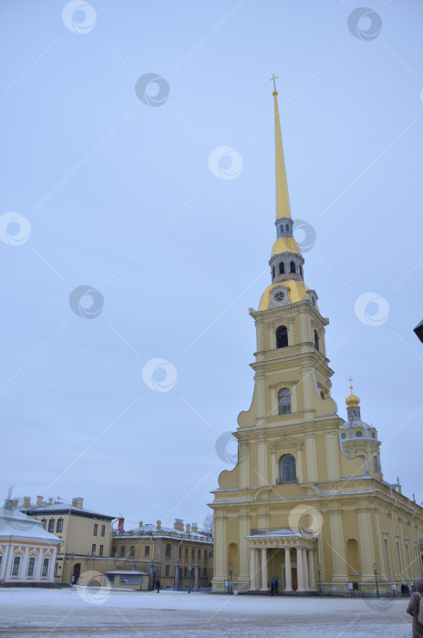 Скачать Санкт-Петербург, Россия – 02.11.2024: Петропавловский собор в Петропавловской крепости в Санкт-Петербурге – православный храм и усыпальница русских царей, памятник архитектуры в стиле петровского барокко фотосток Ozero