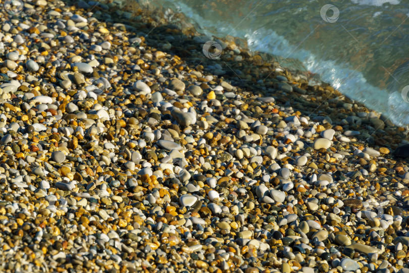 Скачать Морская галька на фоне синего моря на закате на пляже и под водой побережья Черного моря в качестве фона природы фотосток Ozero